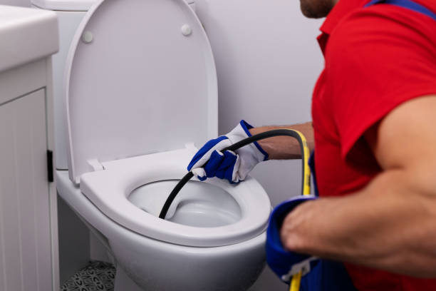 Best Affordable Plumbing Services  in Schoolcraft, MI