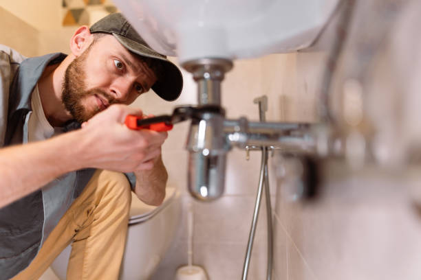 Best Local Plumber Services  in Schoolcraft, MI