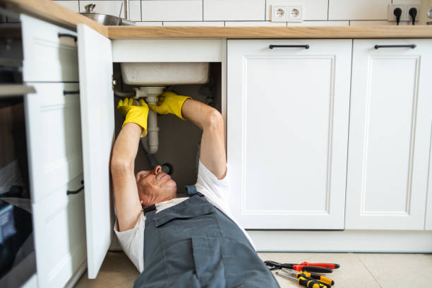 Best Septic Systems  in Schoolcraft, MI