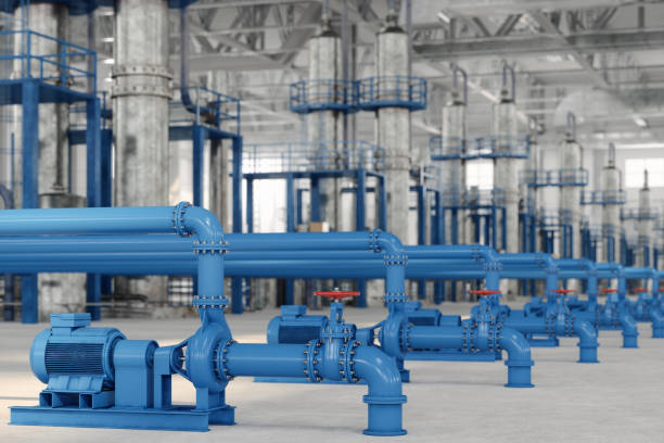 Best Plumbing Inspection Services  in Schoolcraft, MI